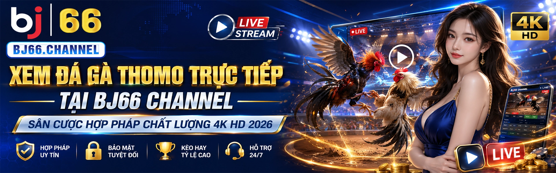 banner bj66 channel