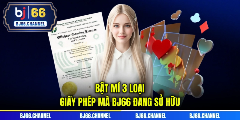 Bật mí 3 loại giấy phép mà BJ66 đang sở hữu