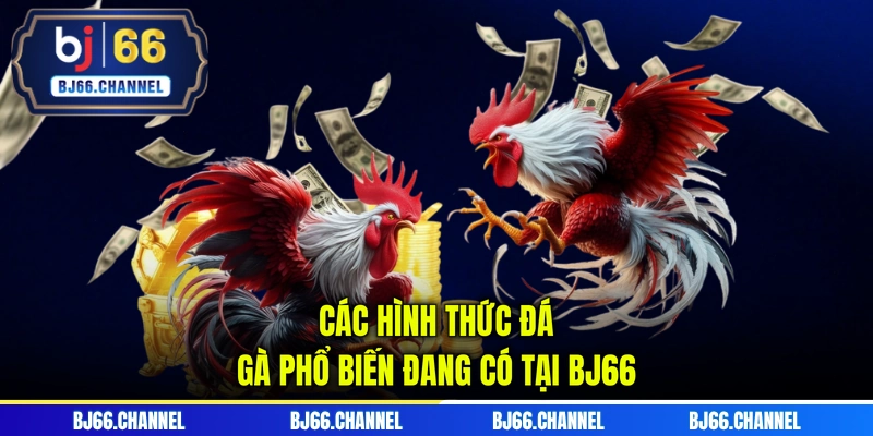 Các hình thức đá gà phổ biến đang có tại BJ66