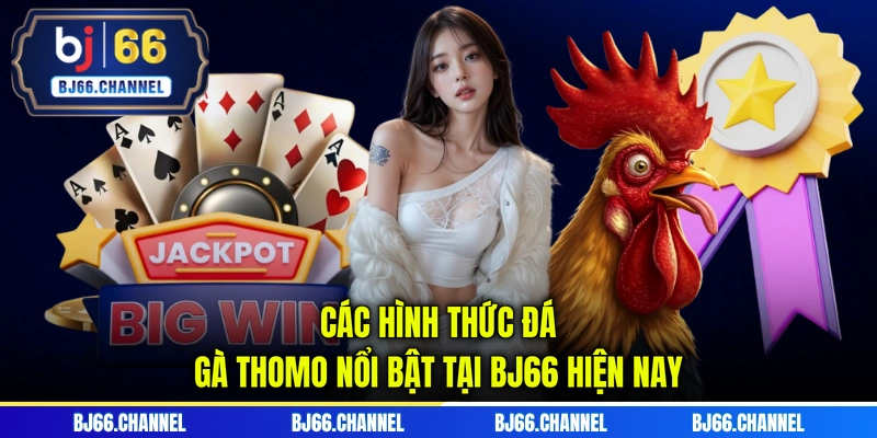Các hình thức đá gà Thomo nổi bật tại BJ66 hiện nay