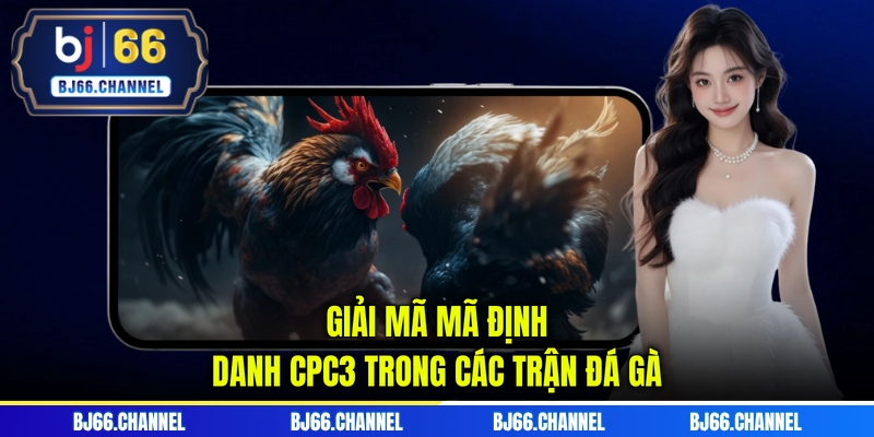 Giải mã mã định danh CPC3 trong các trận đá gà