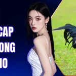 Handicap kèo trong Thomo