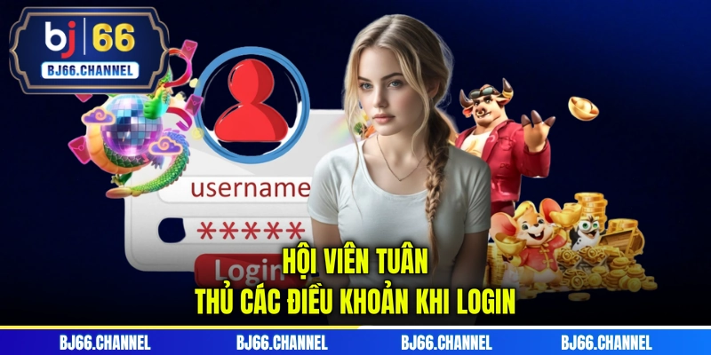 Hội viên tuân thủ các điều khoản khi login