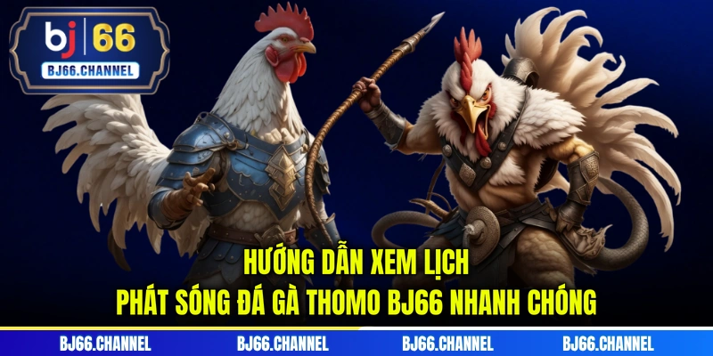 Hướng dẫn xem lịch phát sóng đá gà Thomo BJ66 nhanh chóng