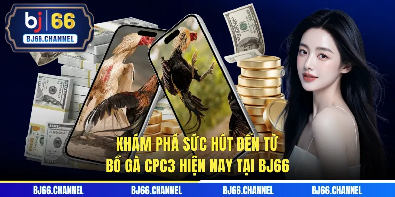 Khám phá sức hút đến từ bồ gà CPC3 hiện nay tại BJ66