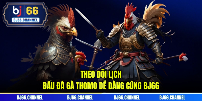 Theo dõi lịch đấu đá gà Thomo dễ dàng cùng BJ66