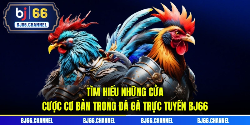 Tìm hiểu những cửa cược cơ bản trong đá gà trực tuyến BJ66